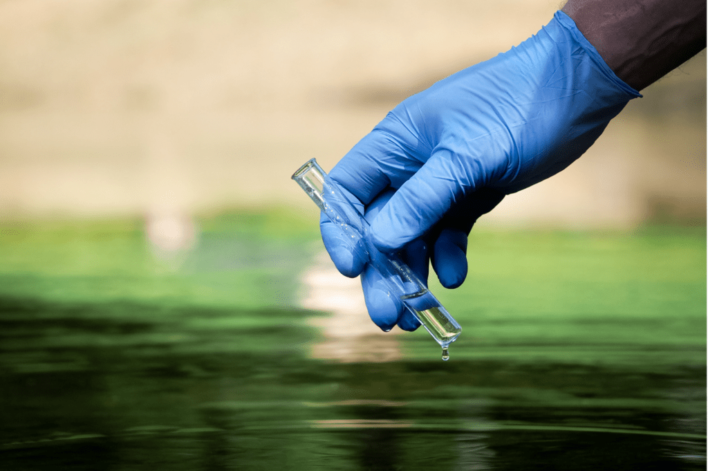 cholera vaccine bournemouth